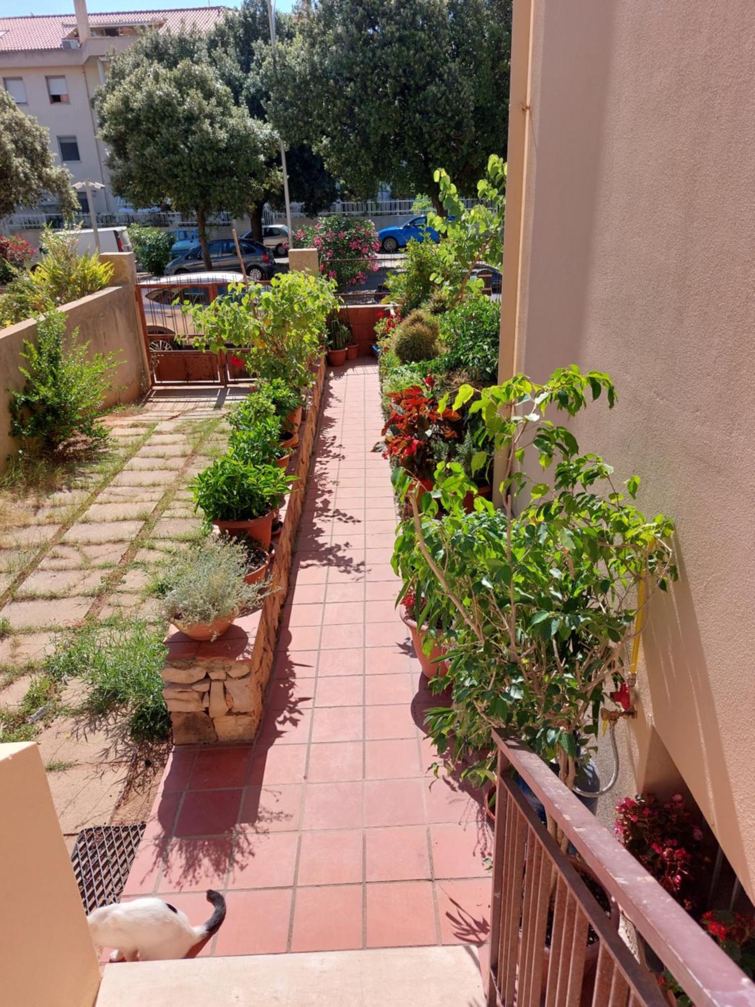 Les Estrelles Apartment